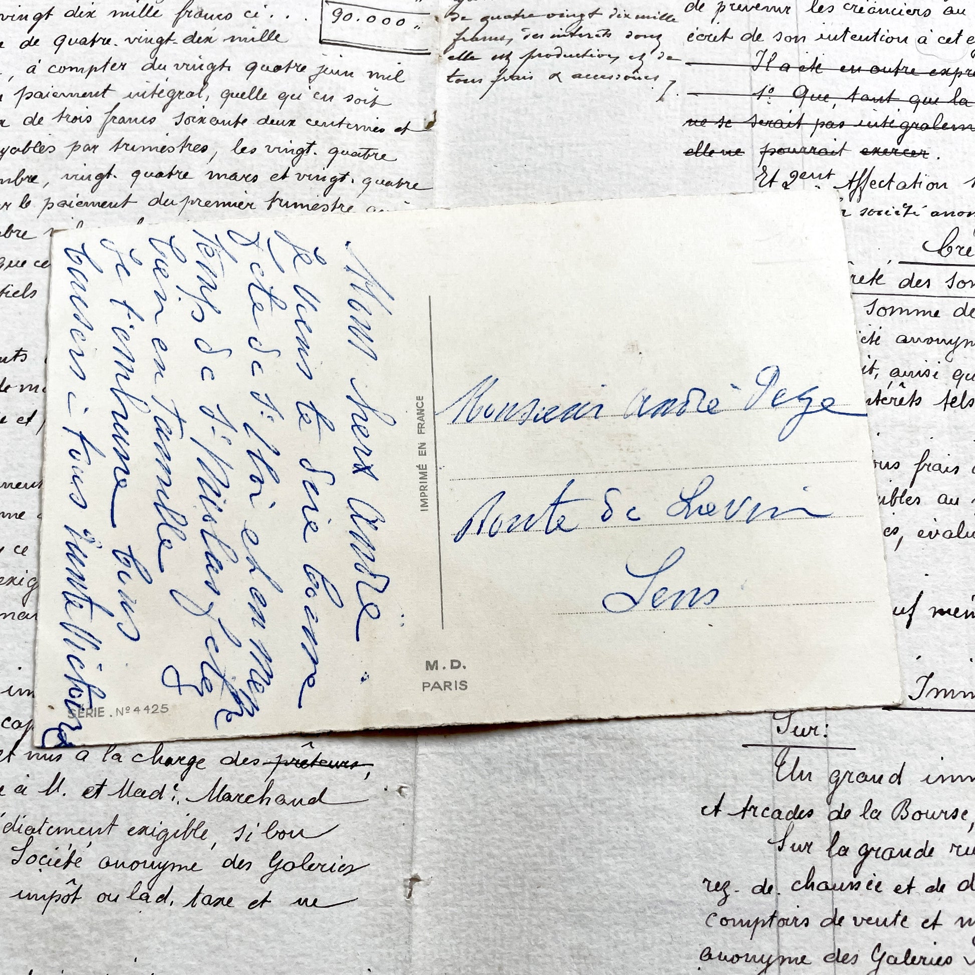 1950s - French Flowers Postcard - Vibrant Carnations Mimosa Flowers - Blank Scroll Design - Collectible Paper Ephemera