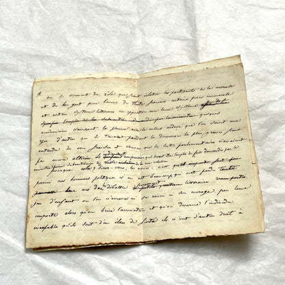 Late 19th French manuscript pages with elegant handwritten script detailing a historical political discourse.