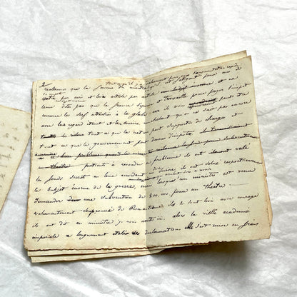 Late 19th French manuscript pages with elegant handwritten script detailing a historical political discourse.