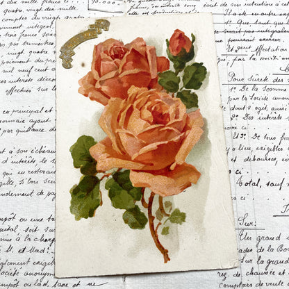 1920s - Antique Floral Chromo - Roses Botanical Ephemera - Vintage Paper Art Scrapbook Supply - Romantic Red Roses