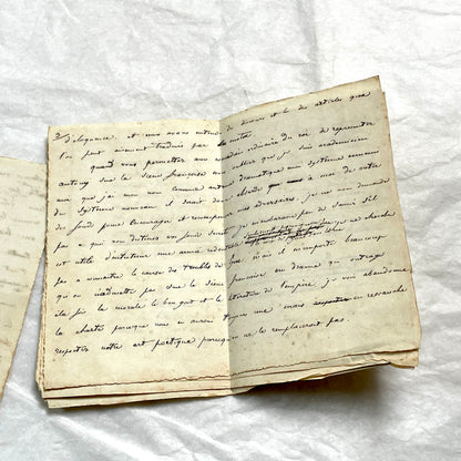 Late 19th French manuscript pages with elegant handwritten script detailing a historical political discourse.