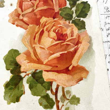 1920s - Antique Floral Chromo - Roses Botanical Ephemera - Vintage Paper Art Scrapbook Supply - Romantic Red Roses