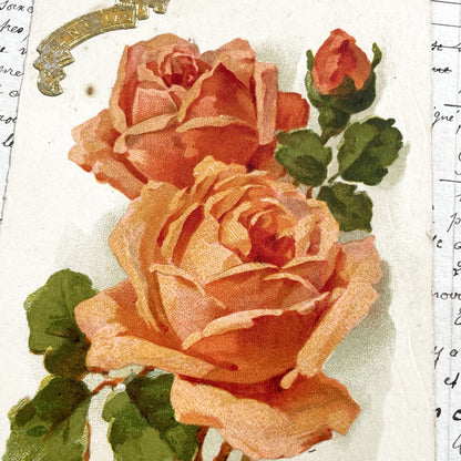 1920s - Antique Floral Chromo - Roses Botanical Ephemera - Vintage Paper Art Scrapbook Supply - Romantic Red Roses