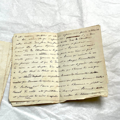 Late 19th French manuscript pages with elegant handwritten script detailing a historical political discourse.