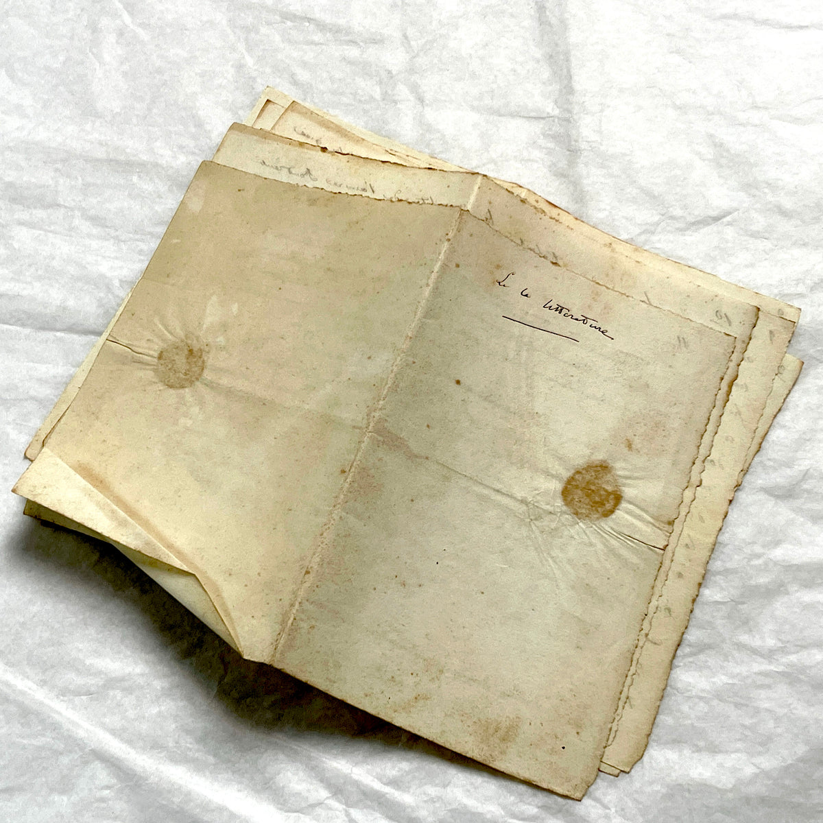 Late 19th French manuscript pages with elegant handwritten script detailing a historical political discourse.