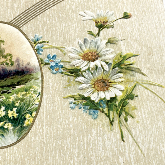 1900s - Antique Embossed Floral Postcard - Landscape Vignette - White Daisies - Forget-Me-Nots - Serene Nature Art Print
