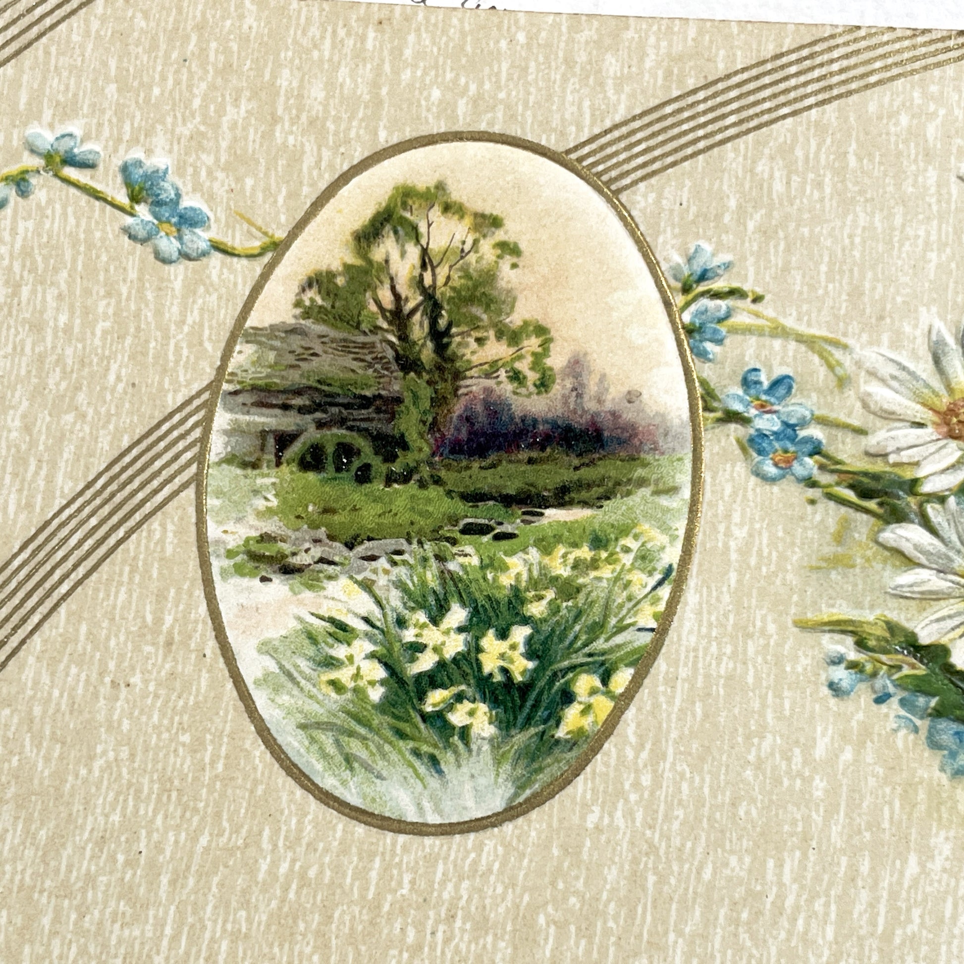 1900s - Antique Embossed Floral Postcard - Landscape Vignette - White Daisies - Forget-Me-Nots - Serene Nature Art Print