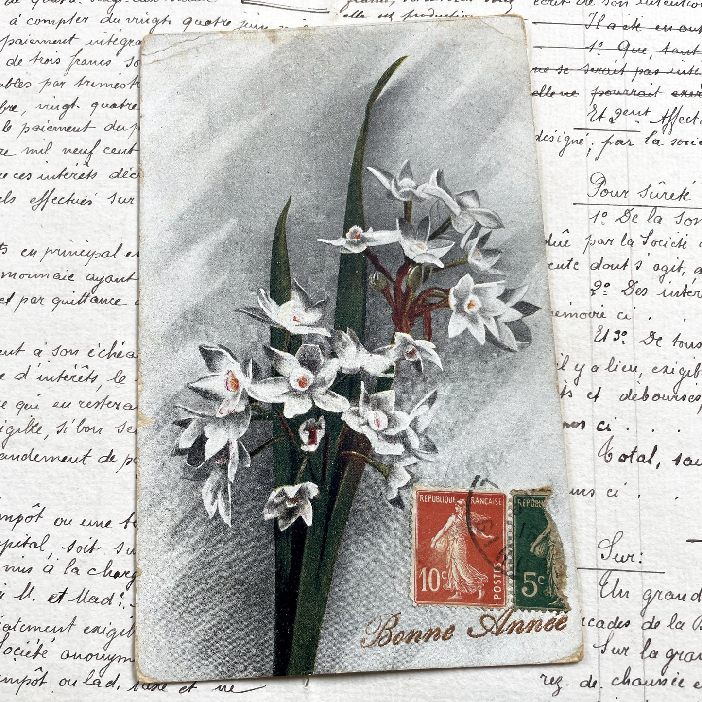 1910s - French Floral Postcard - Vintage Narcissus Flowers - Antique New Year Card - Semeuse Stamps France - Collectible Paper Ephemera