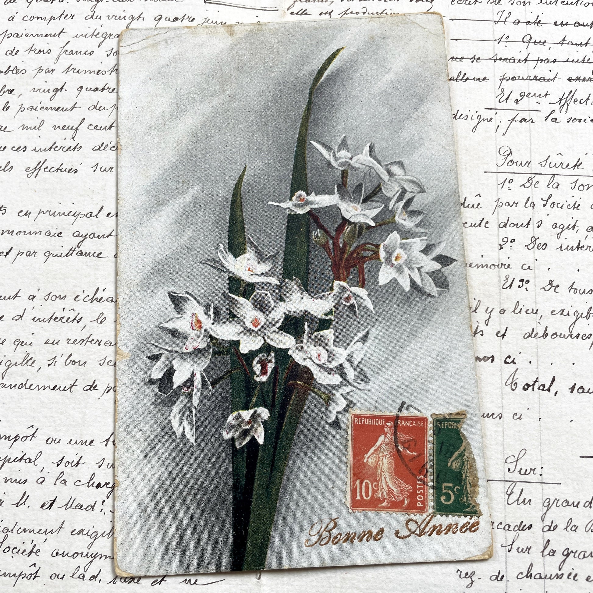 1910s - French Floral Postcard - Vintage Narcissus Flowers - Antique New Year Card - Semeuse Stamps France - Collectible Paper Ephemera