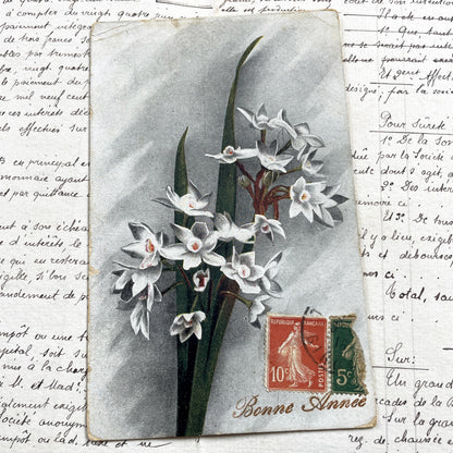 1910s - French Floral Postcard - Vintage Narcissus Flowers - Antique New Year Card - Semeuse Stamps France - Collectible Paper Ephemera