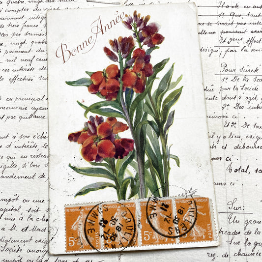 1920s - French New Year Postcard - Vibrant Wallflower Floral Chromolithograph - Collectible Ephemera - Vintage Postcard