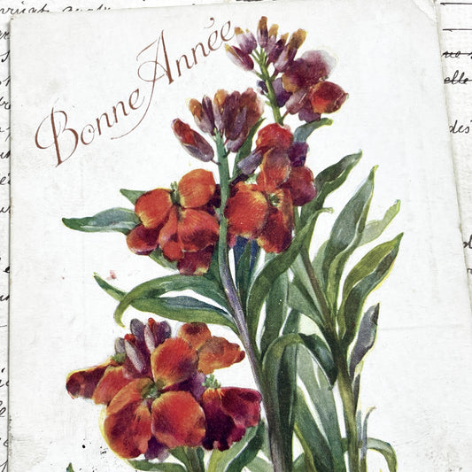 1920s - French New Year Postcard - Vibrant Wallflower Floral Chromolithograph - Collectible Ephemera - Vintage Postcard