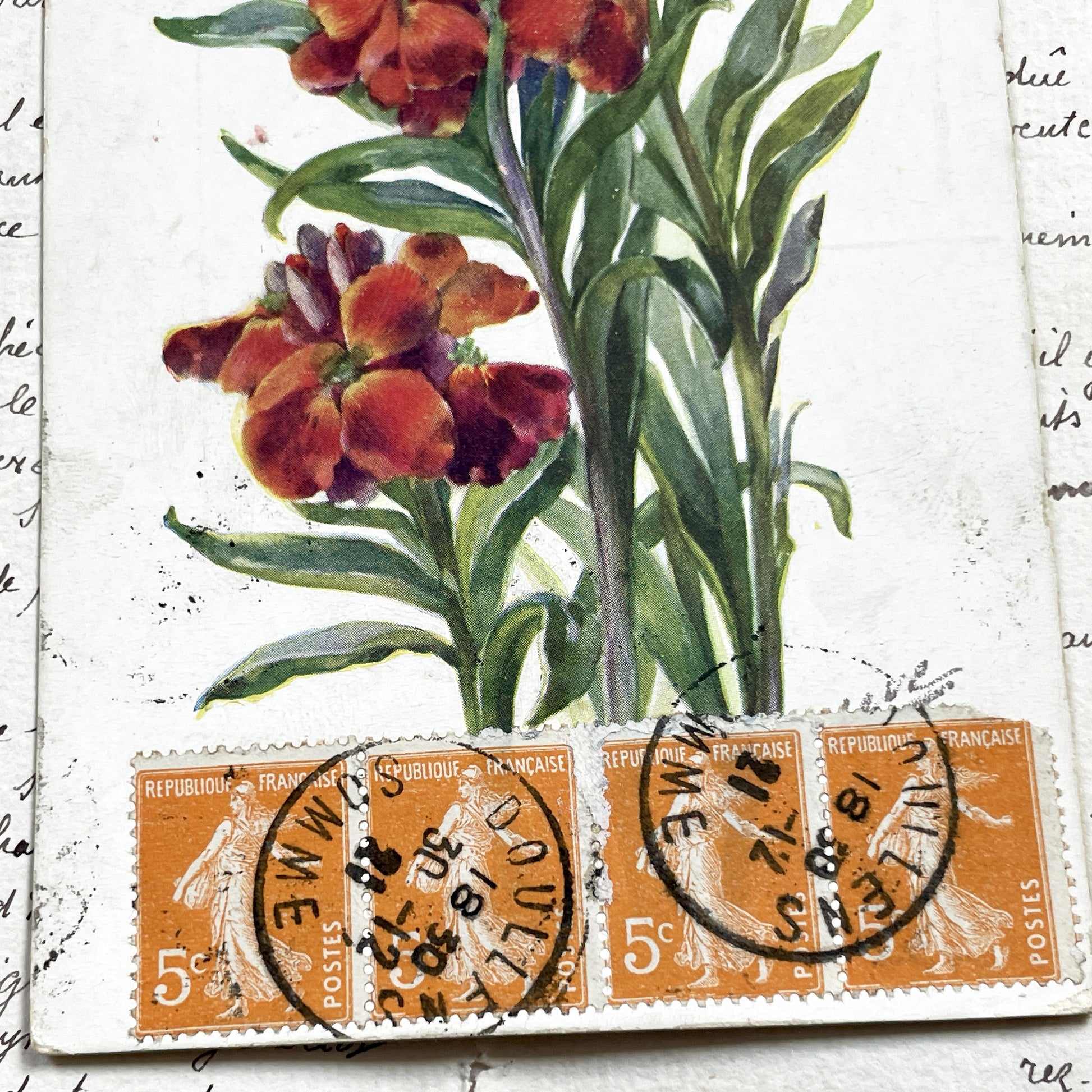 1920s - French New Year Postcard - Vibrant Wallflower Floral Chromolithograph - Collectible Ephemera - Vintage Postcard