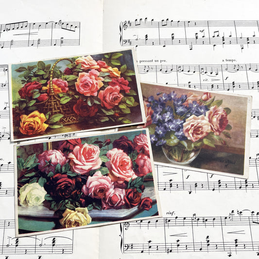 1950s - Three Vintage French Floral Postcards - Antique Flower Postcards - Set of Three Botanical Art Greeting Cards - Ephemera Decor