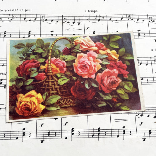1950s - Three Vintage French Floral Postcards - Antique Flower Postcards - Set of Three Botanical Art Greeting Cards - Ephemera Decor