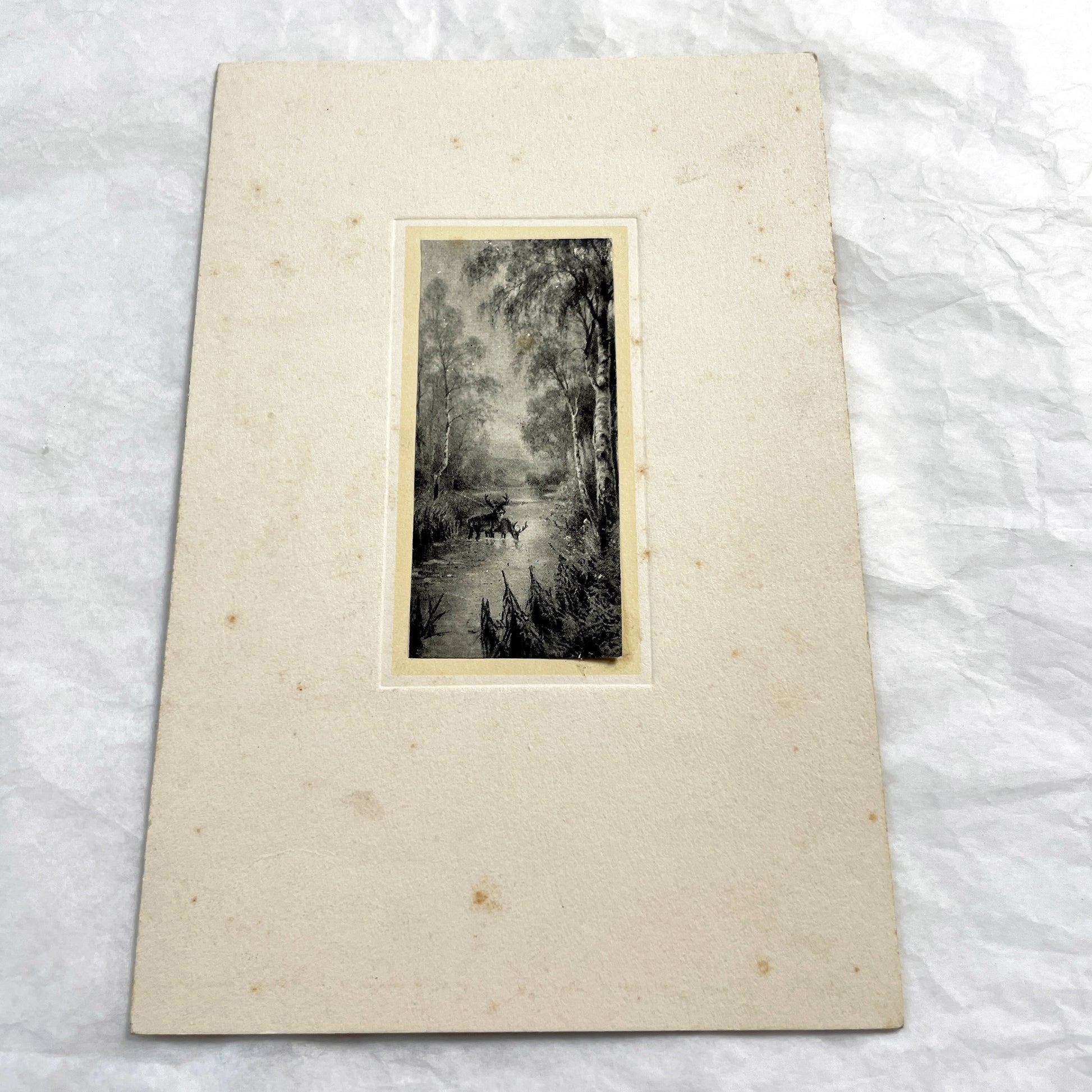 1910s - Vintage French Menu Card with Deer Illustration - Handwritten Meal from May 11, 1914 - Elegant Dinner Event Memorabilia