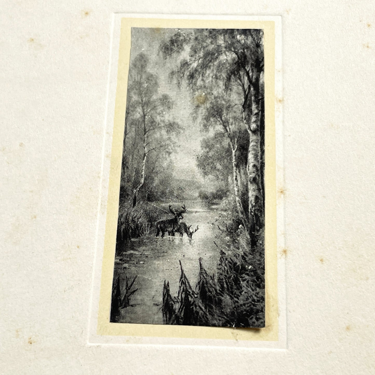 1910s - Vintage French Menu Card with Deer Illustration - Handwritten Meal from May 11, 1914 - Elegant Dinner Event Memorabilia