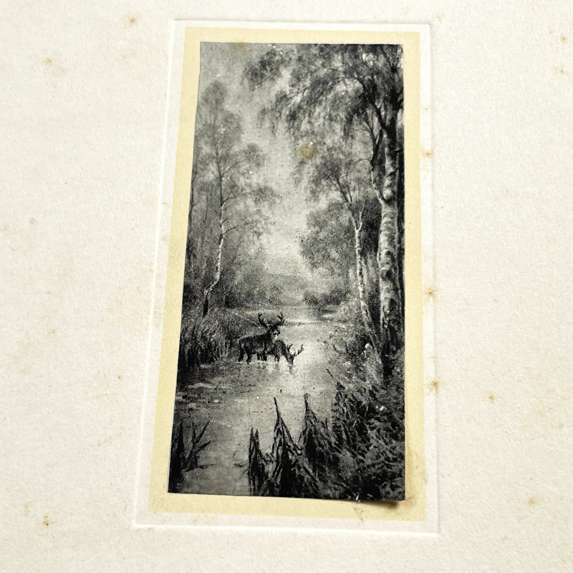 1910s - Vintage French Menu Card with Deer Illustration - Handwritten Meal from May 11, 1914 - Elegant Dinner Event Memorabilia