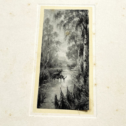 1910s - Vintage French Menu Card with Deer Illustration - Handwritten Meal from May 11, 1914 - Elegant Dinner Event Memorabilia