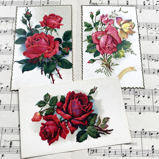 1950s - Three Floral Postcards - Set of Three Roses Botanical Prints - Catherine Ephemera Scraps - Vibrant Art Decor Collectible