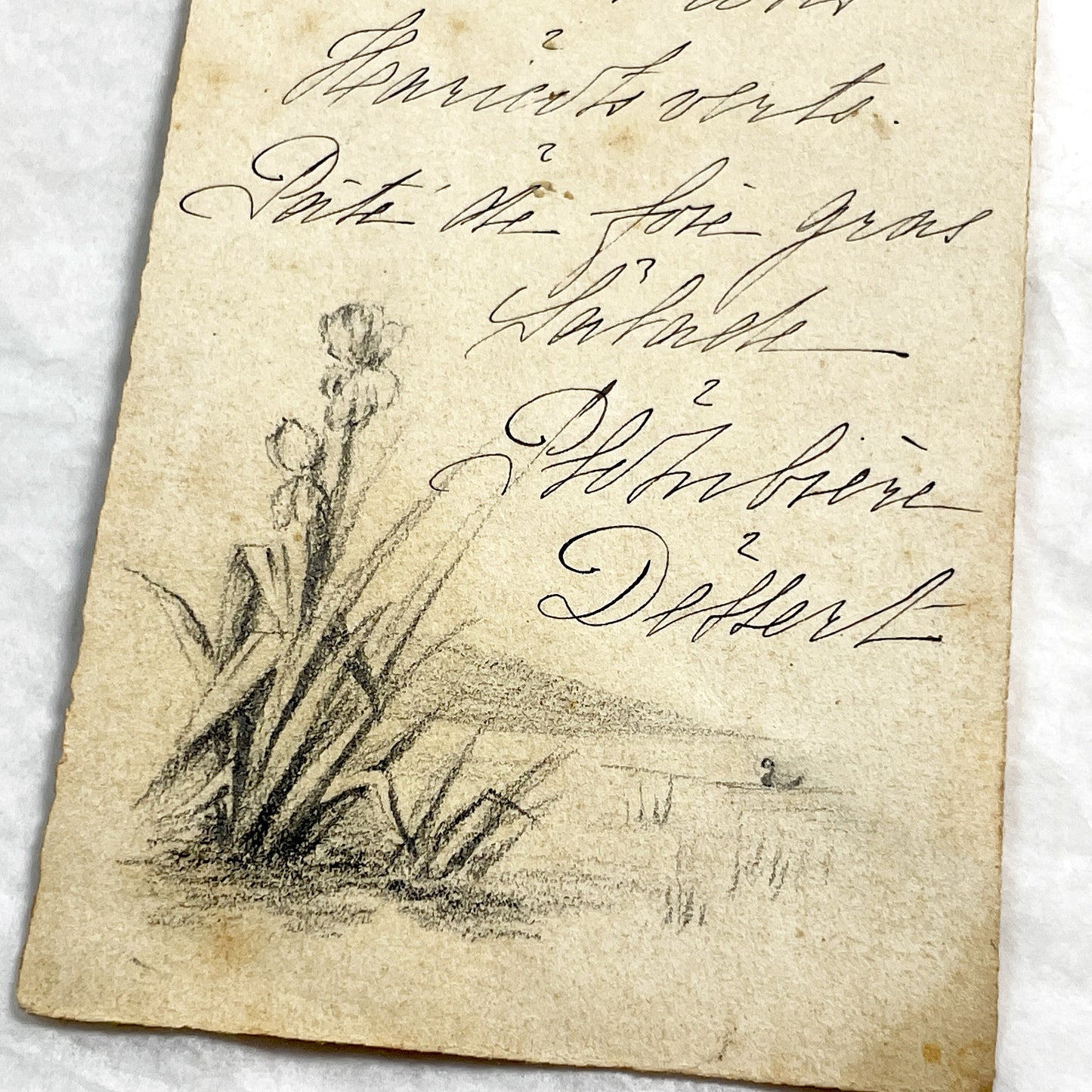 1910s - Vintage Handwritten Menu Card - Elegant French Cuisine - Illustrated Dinner Party Program - Antique Ephemera Collectible