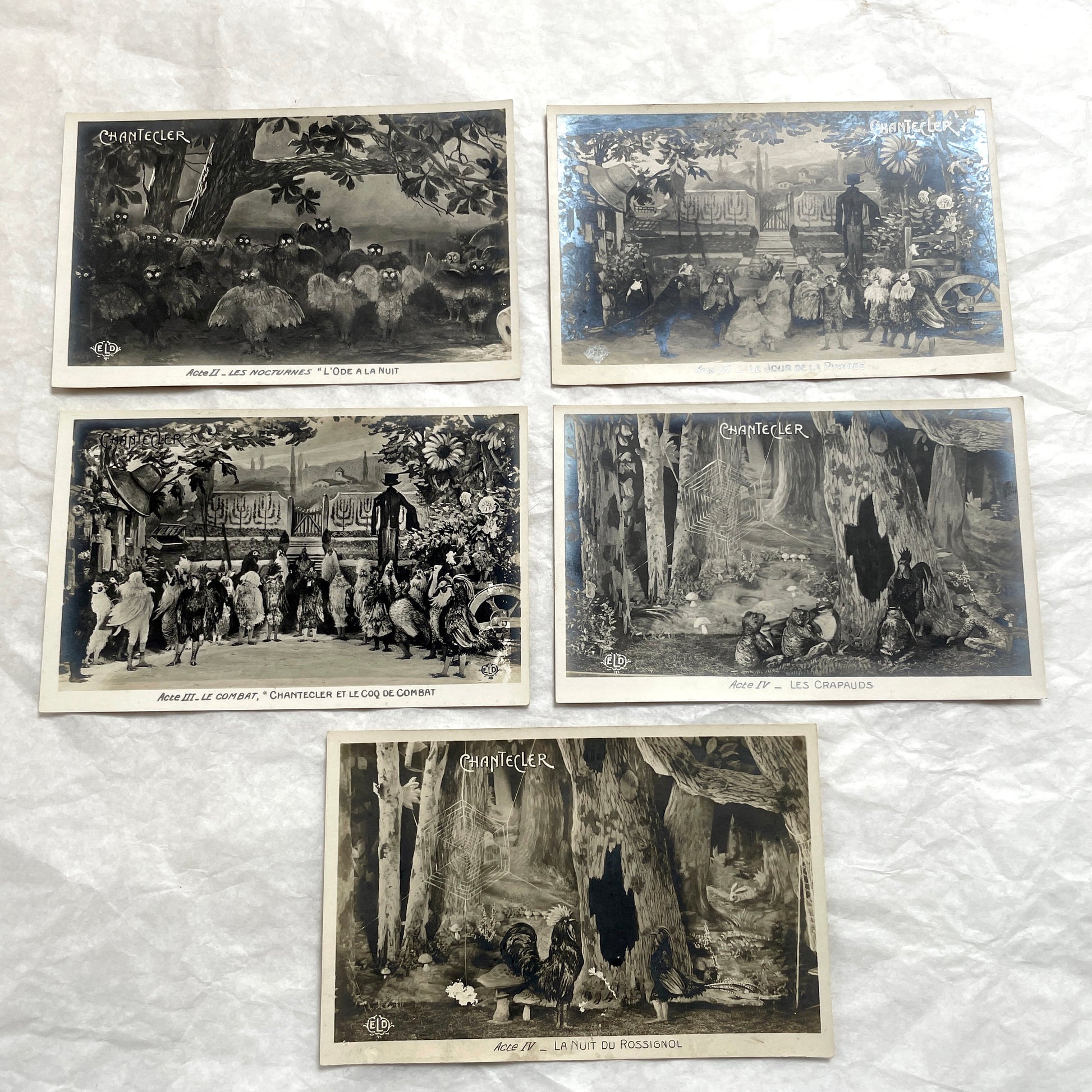 Five 1910s French Chantecler play postcards, featuring scenes with anthropomorphic animals and theatre sets.