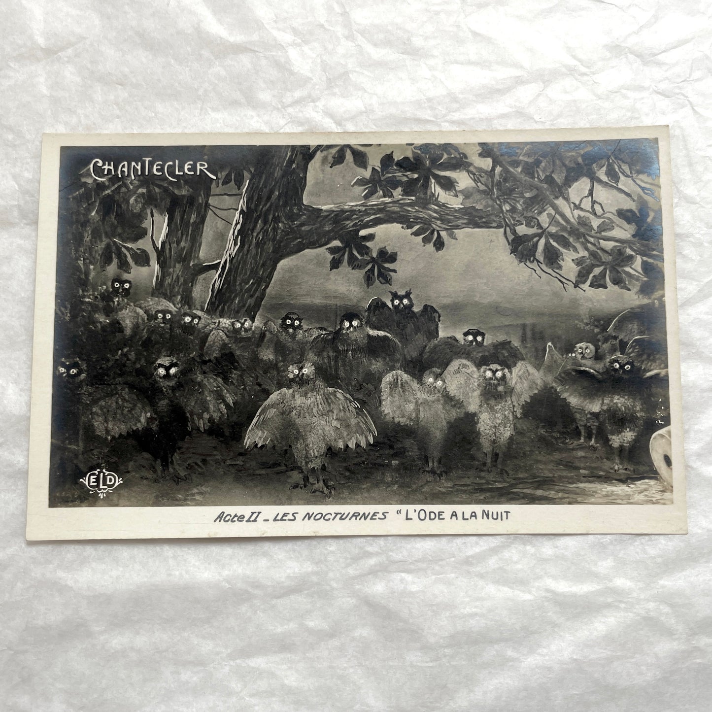 Five 1910s French Chantecler play postcards, featuring scenes with anthropomorphic animals and theatre sets.