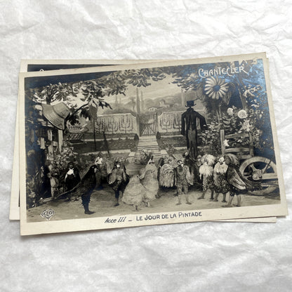 Five 1910s French Chantecler play postcards, featuring scenes with anthropomorphic animals and theatre sets.