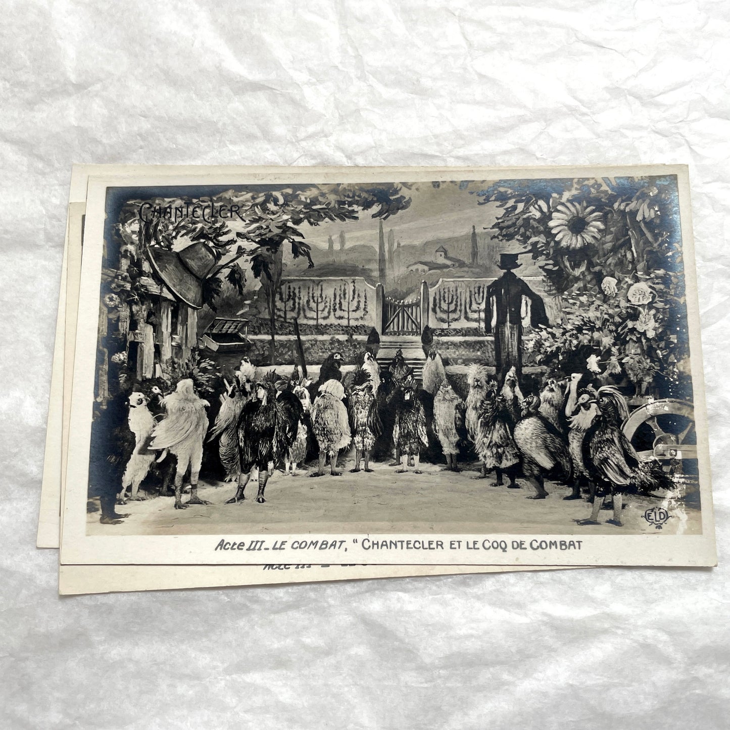 Five 1910s French Chantecler play postcards, featuring scenes with anthropomorphic animals and theatre sets.