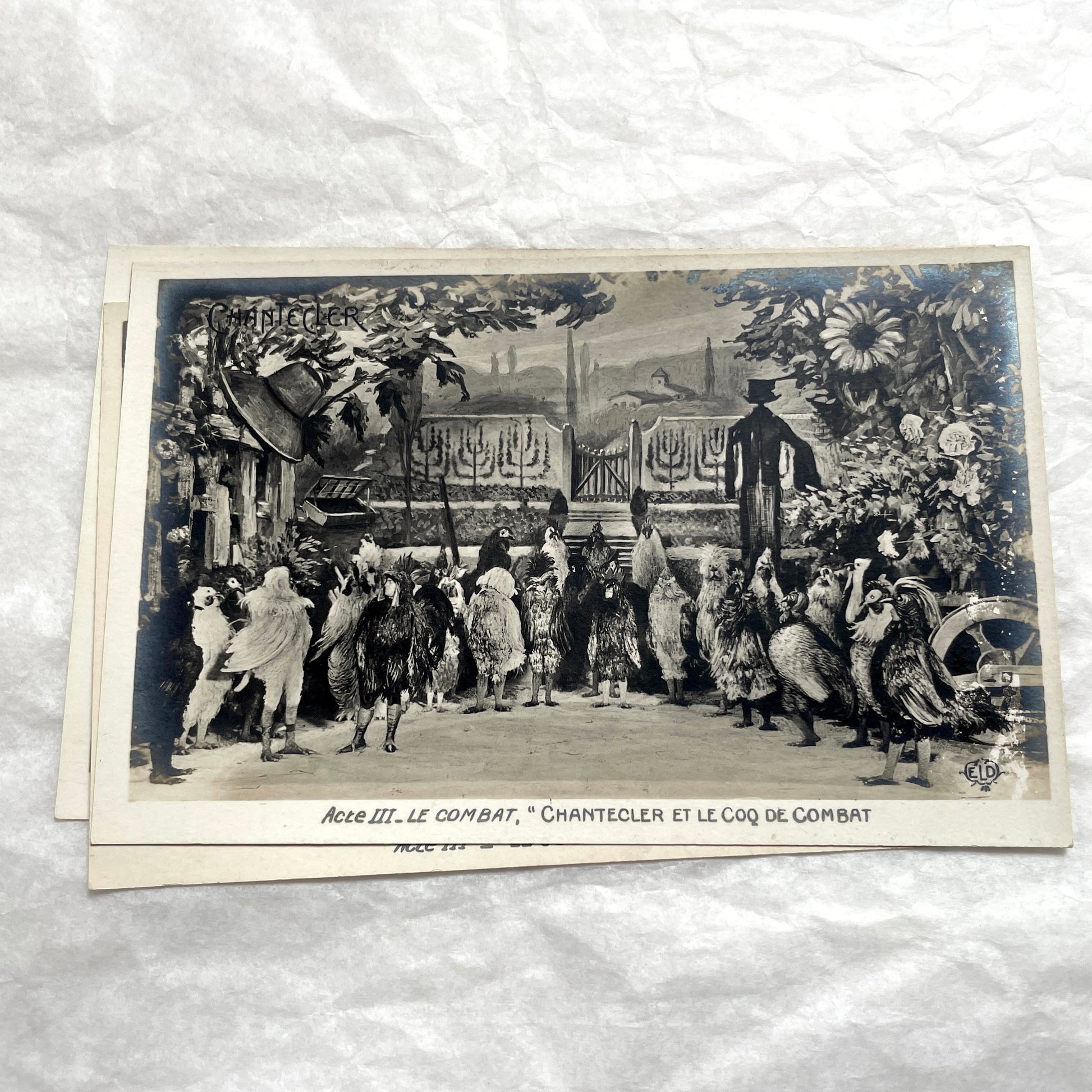Five 1910s French Chantecler play postcards, featuring scenes with anthropomorphic animals and theatre sets.