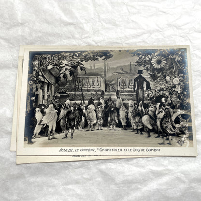 Five 1910s French Chantecler play postcards, featuring scenes with anthropomorphic animals and theatre sets.