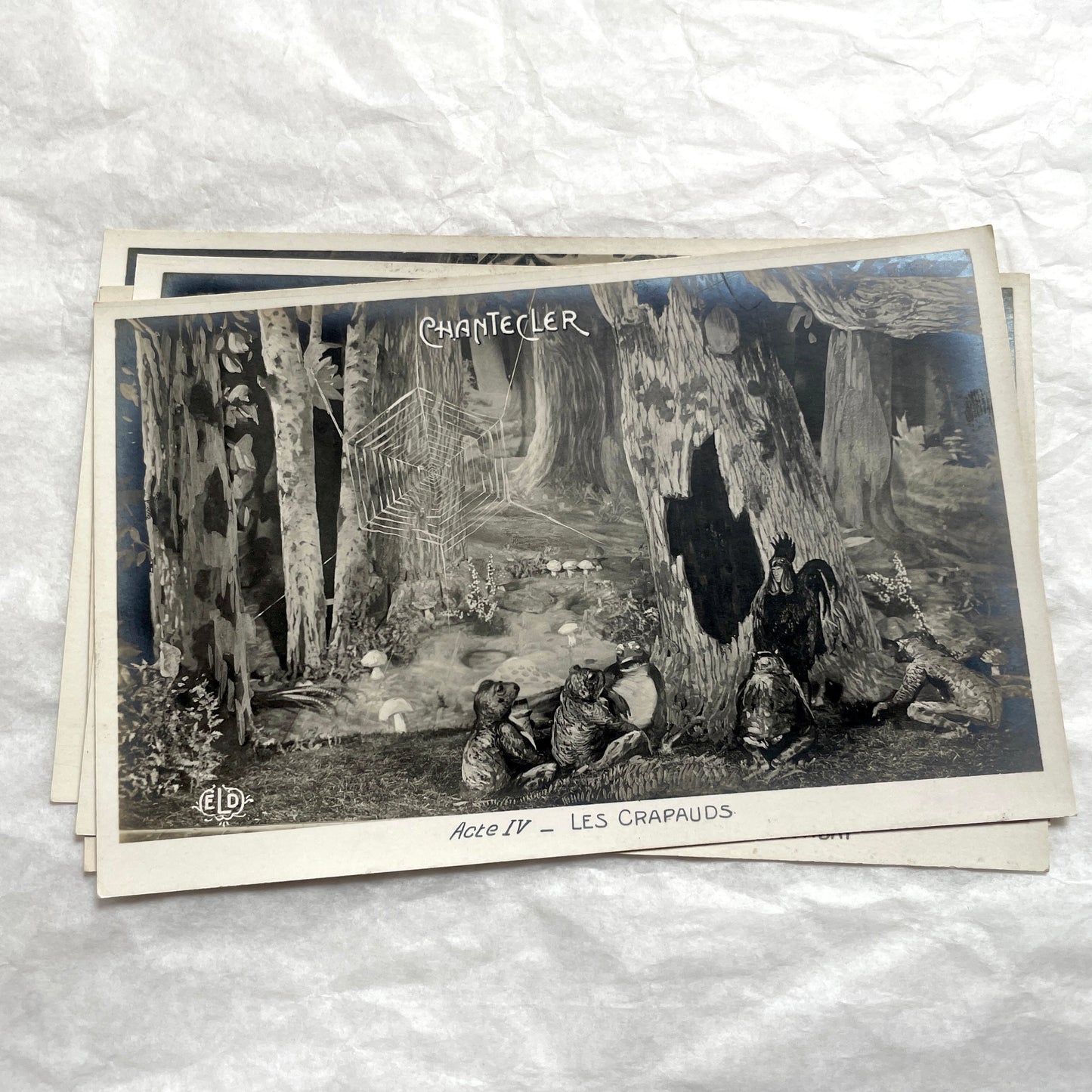 Five 1910s French Chantecler play postcards, featuring scenes with anthropomorphic animals and theatre sets.