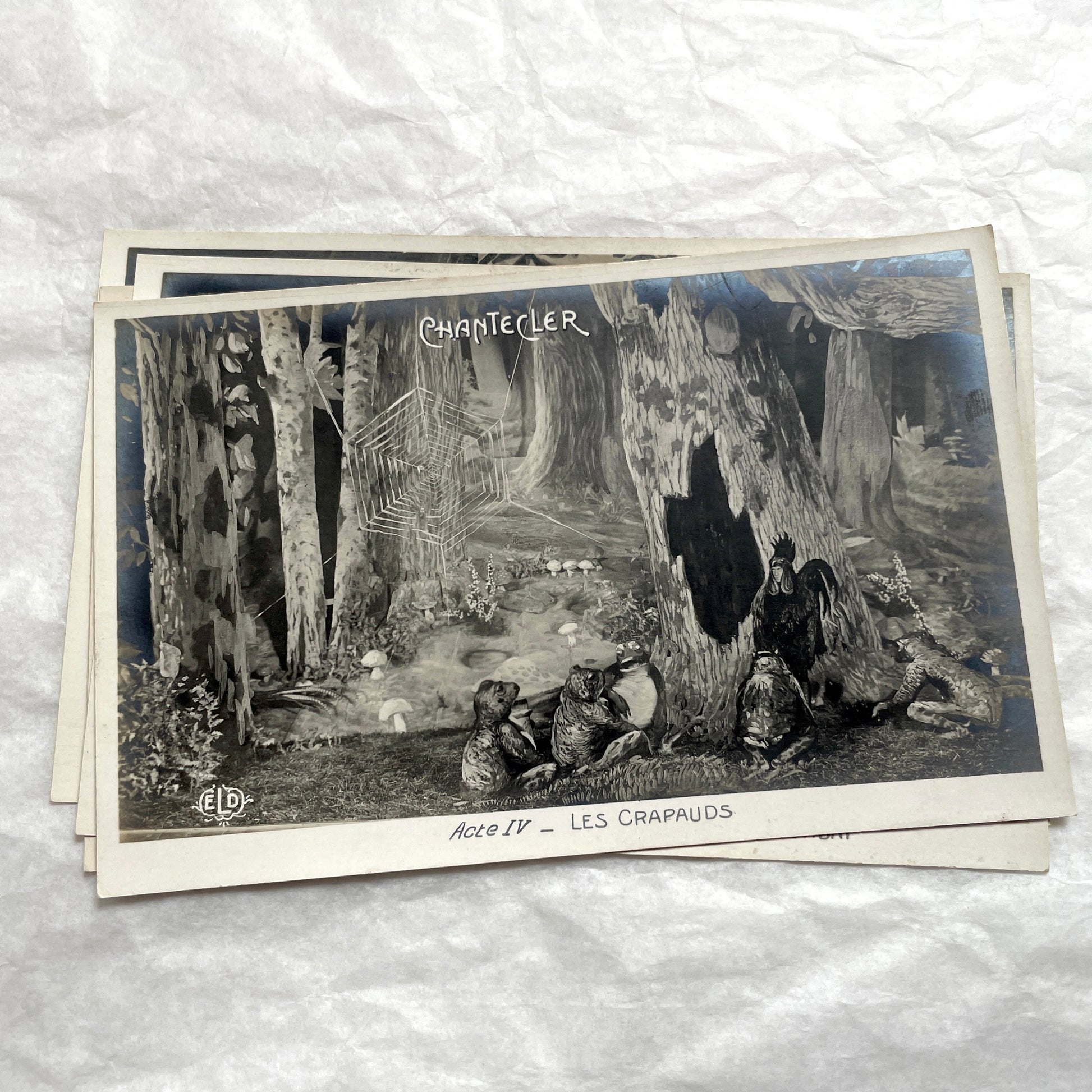 Five 1910s French Chantecler play postcards, featuring scenes with anthropomorphic animals and theatre sets.