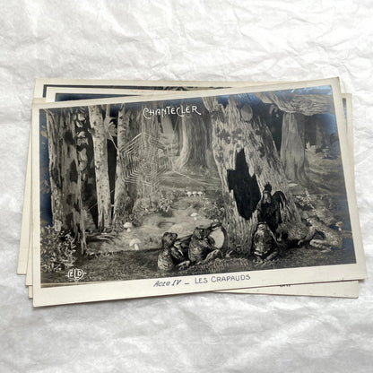 Five 1910s French Chantecler play postcards, featuring scenes with anthropomorphic animals and theatre sets.