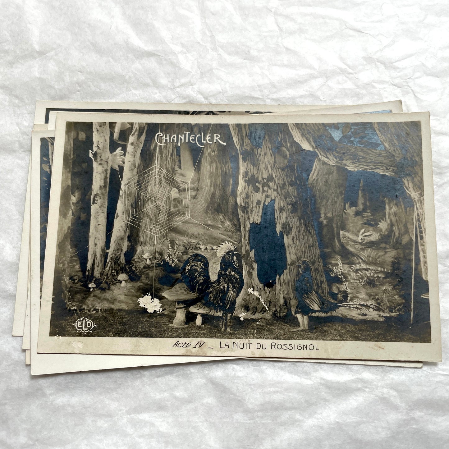 Five 1910s French Chantecler play postcards, featuring scenes with anthropomorphic animals and theatre sets.