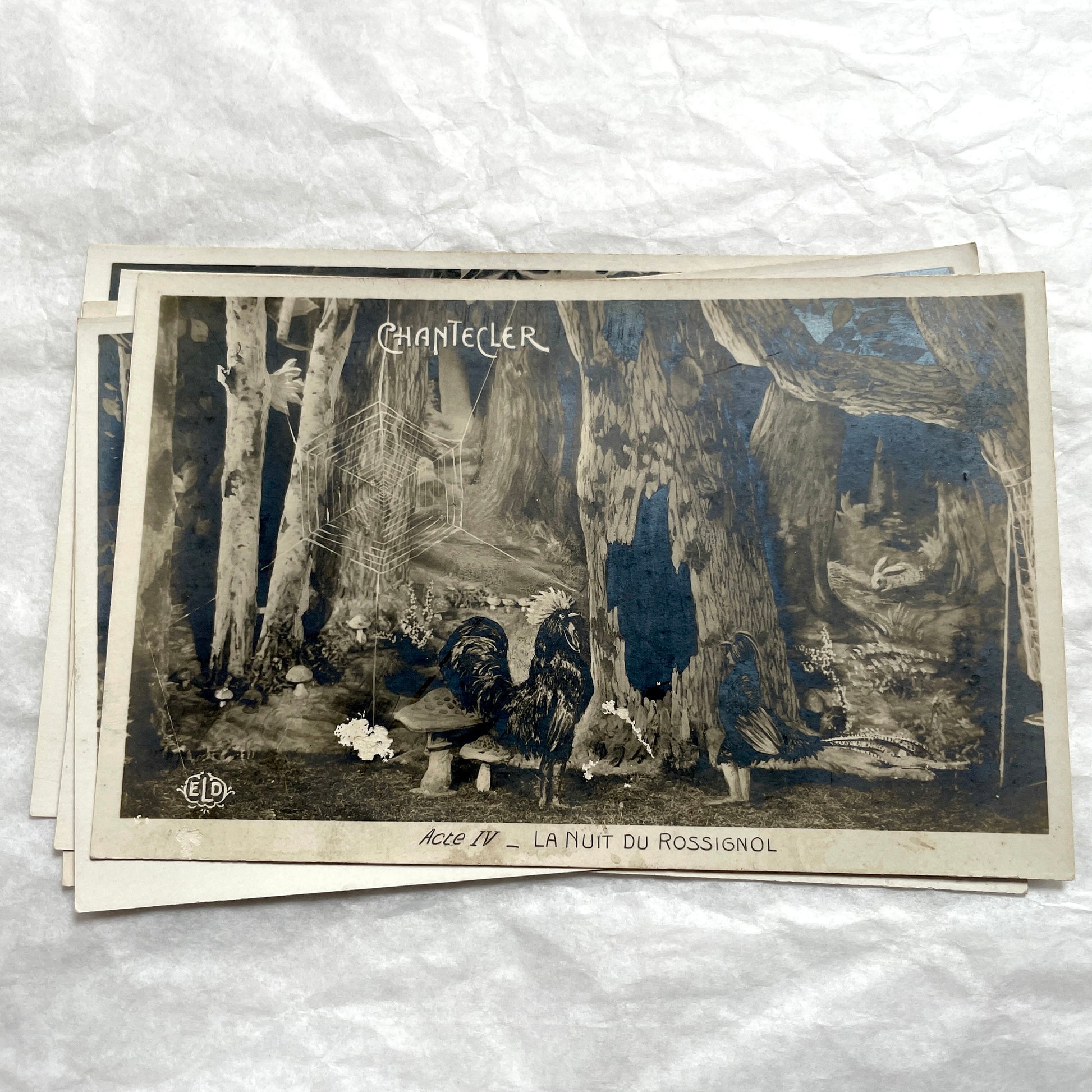 Five 1910s French Chantecler play postcards, featuring scenes with anthropomorphic animals and theatre sets.