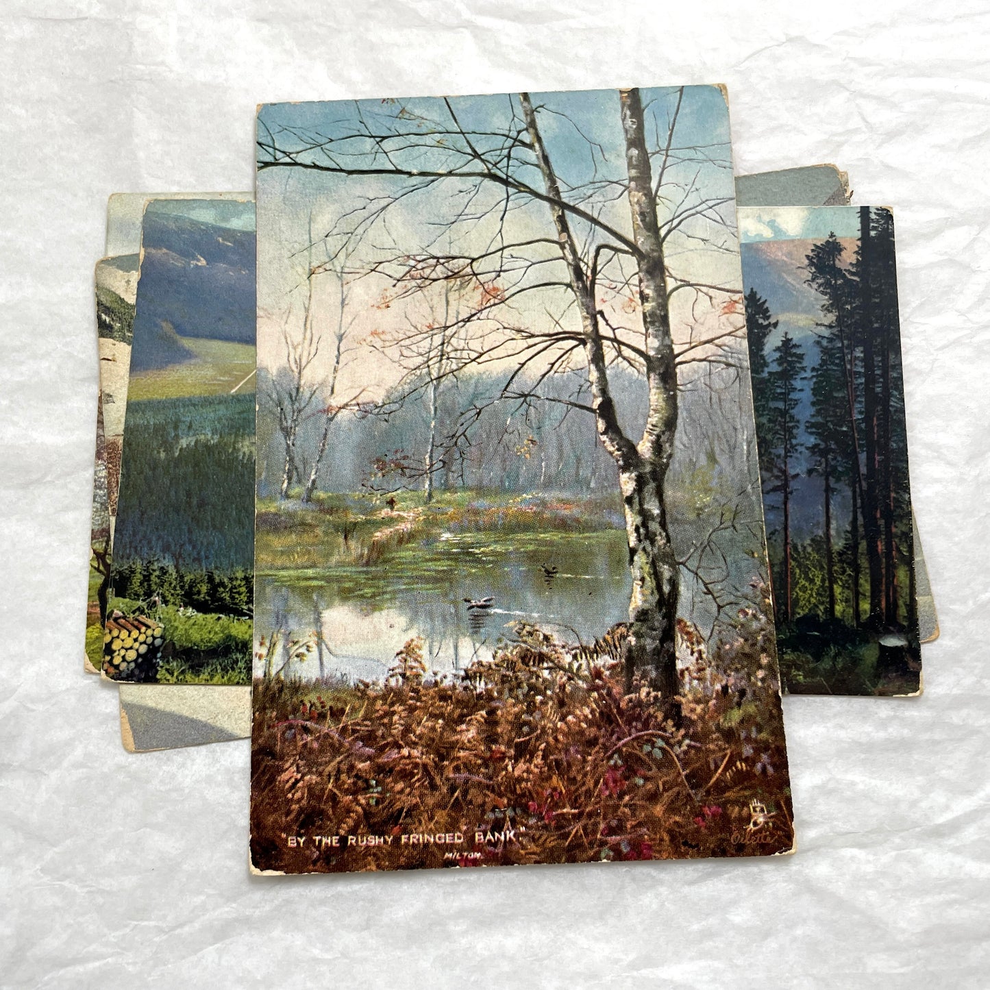 1900s Lot of Four Postcards - Diverse European Landscapes with Seasons, including a castle and snowy mountains.