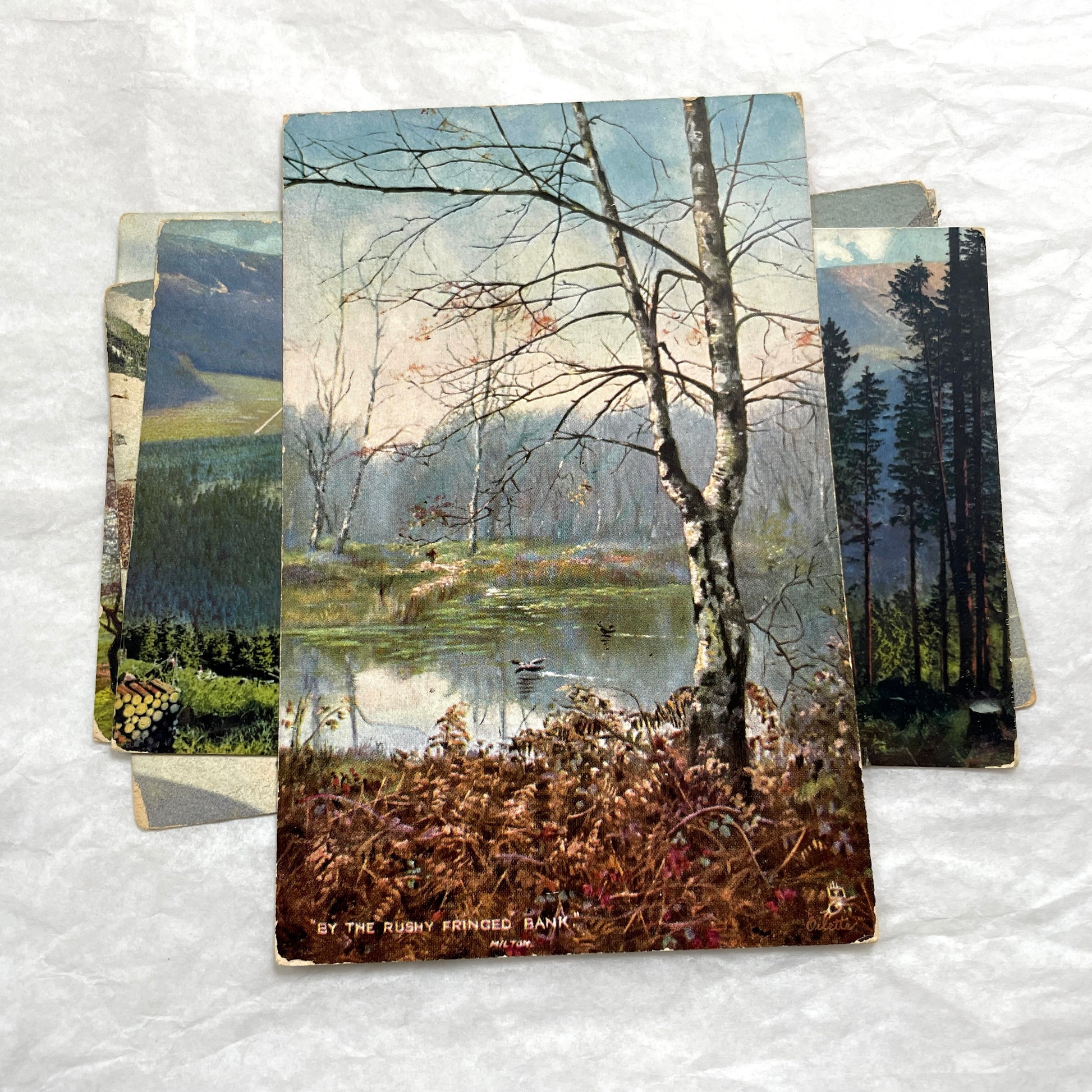 1900s Lot of Four Postcards - Diverse European Landscapes with Seasons, including a castle and snowy mountains.