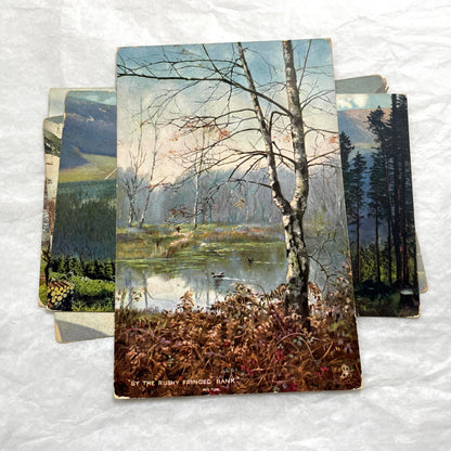 1900s Lot of Four Postcards - Diverse European Landscapes with Seasons, including a castle and snowy mountains.