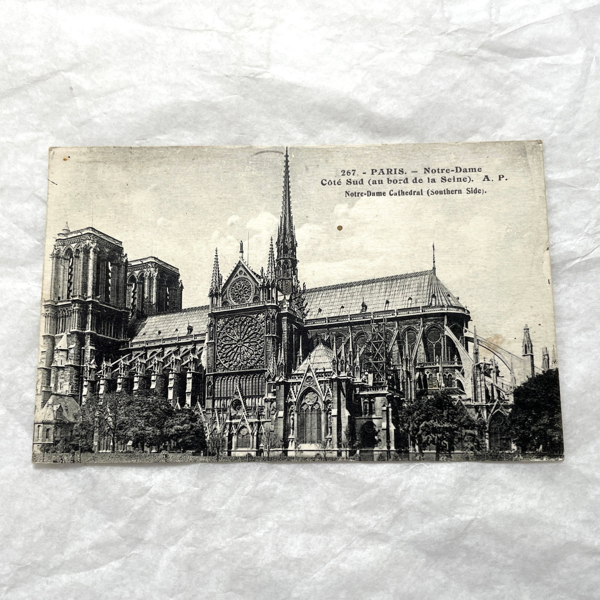 Lot of five 1910s vintage French postcards featuring various architectural details of Notre Dame Cathedral in Paris.